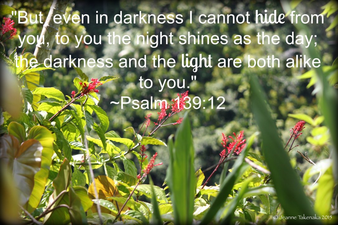 Psalm 13912 darkness and light alike copy