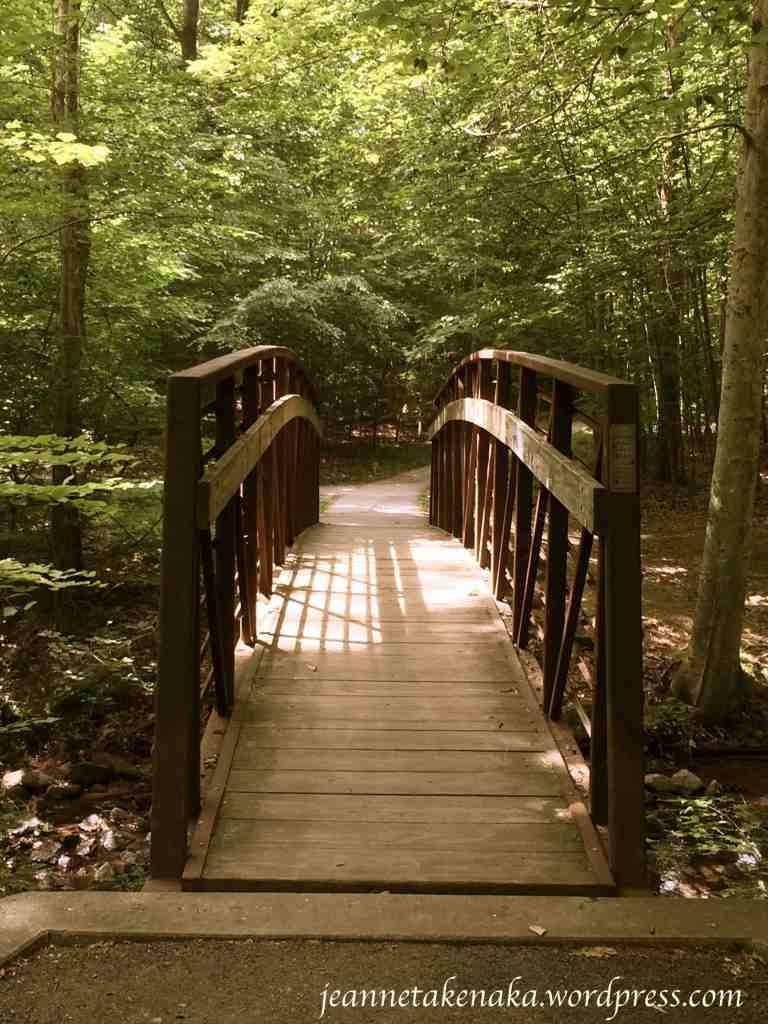 Walking bridge to beauty