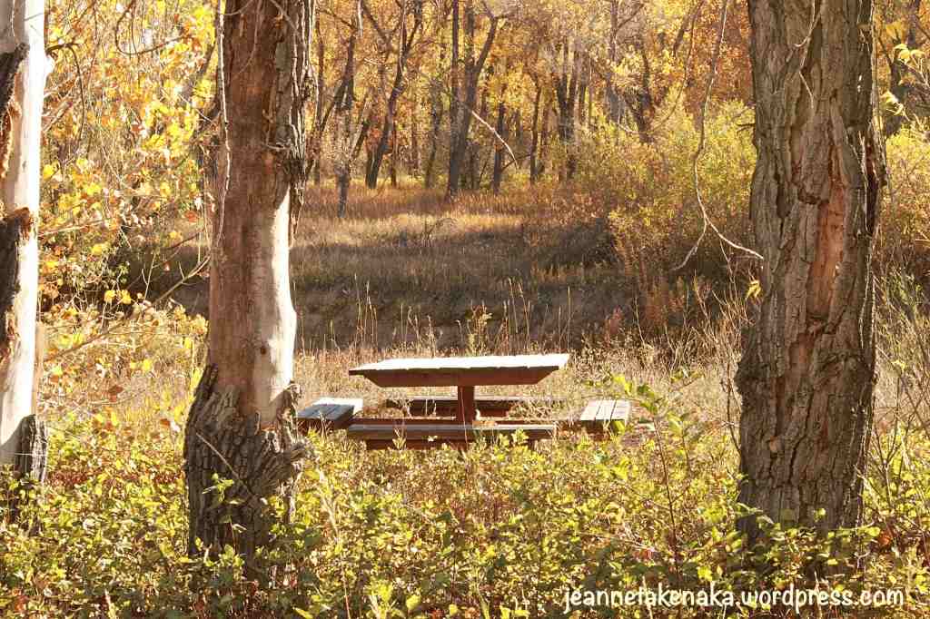 picnic-table-in-fall