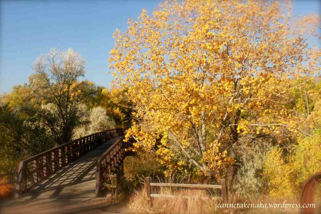 autumn-bridge