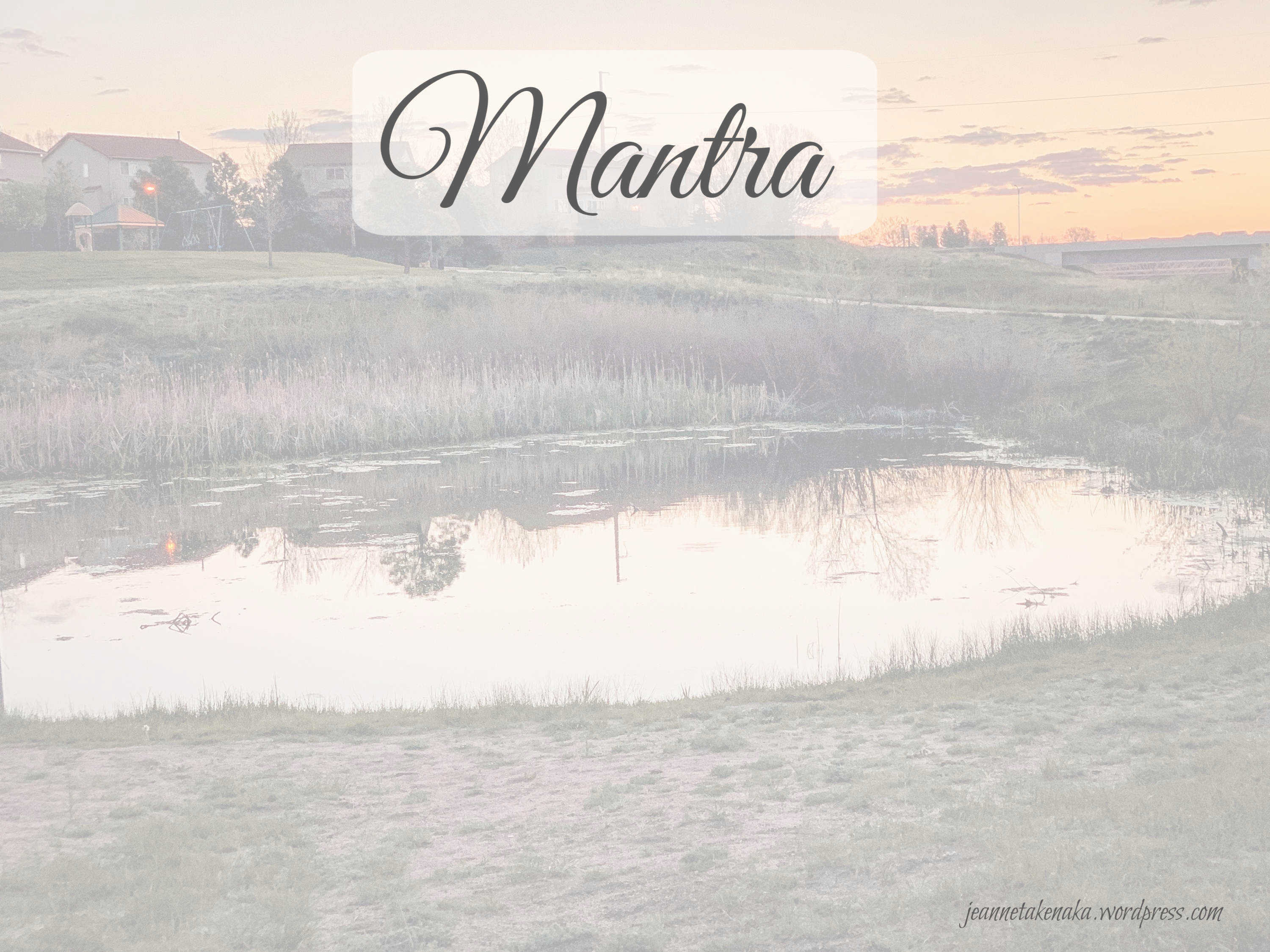 Meme that says "Mantra" on a backdrop of a pond