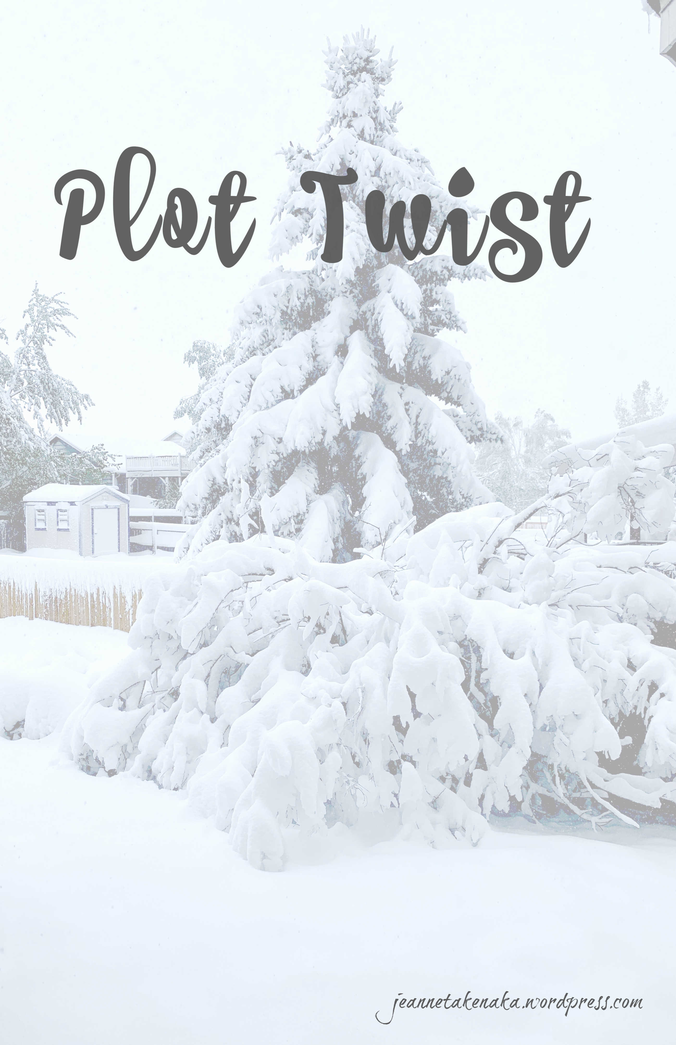 Meme that says Plot Twist super-imposed over a pic of a snow-covered tree